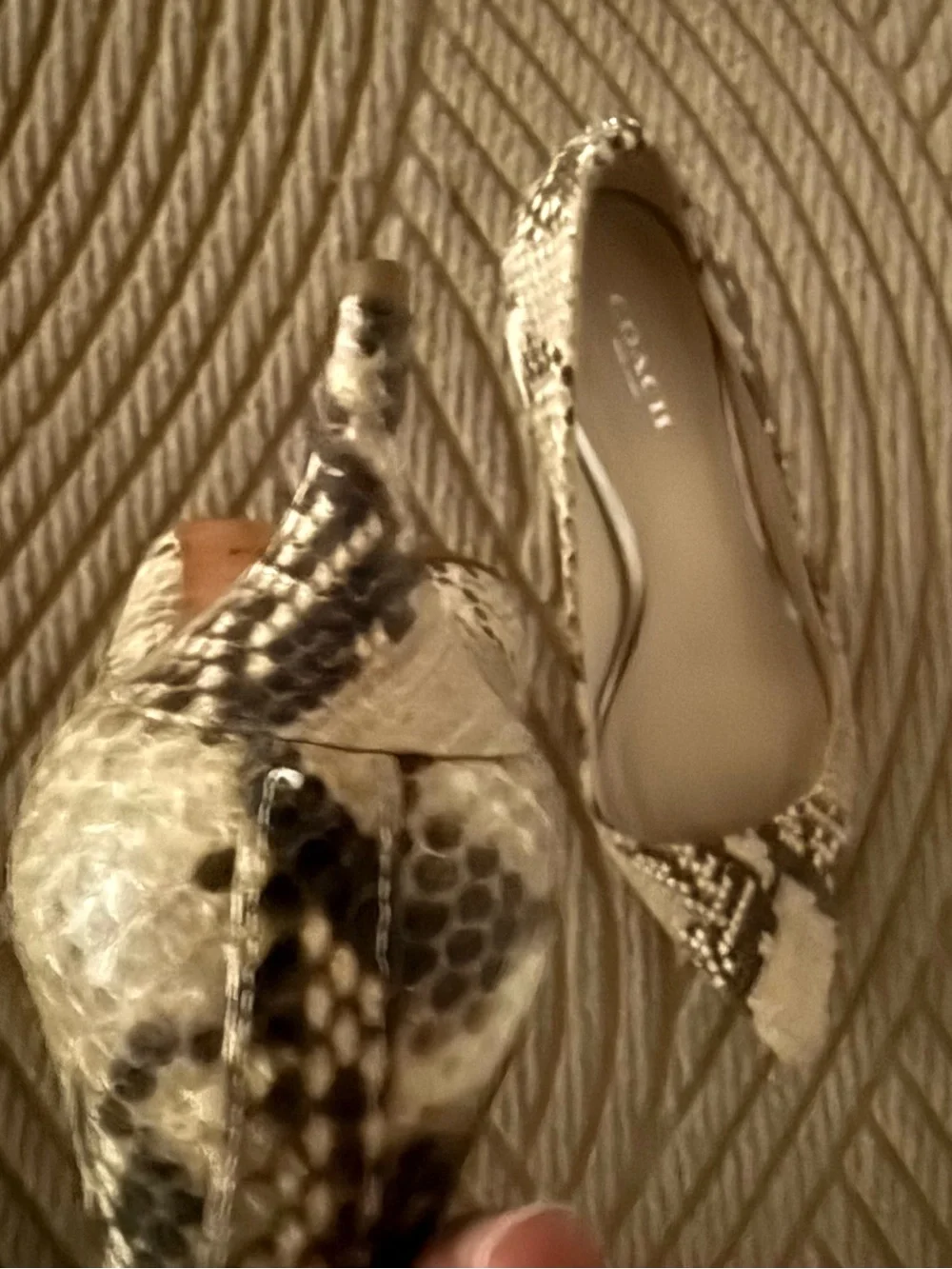 VTG COACH Snakeskin kitten heel pumps.  7.5. GREAT CONDITION